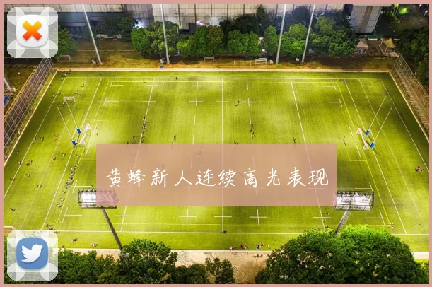 黄蜂新人连续高光表现