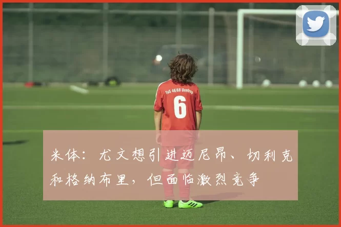 米体：尤文想引进迈尼昂、切利克和格纳布里，但面临激烈竞争