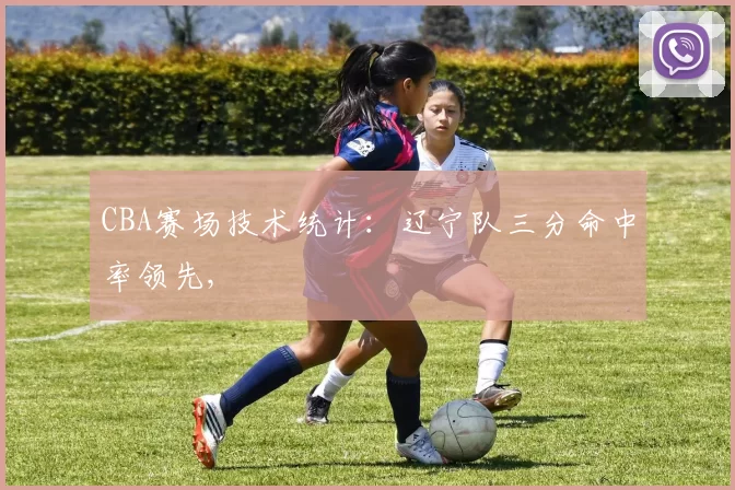 CBA赛场技术统计：辽宁队三分命中率领先,