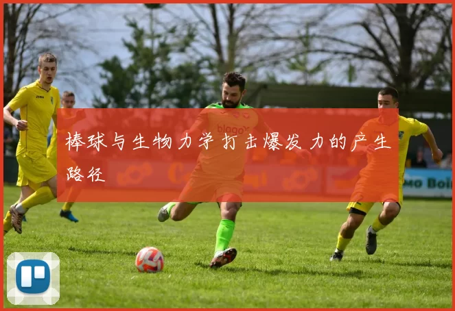 棒球与生物力学打击爆发力的产生路径