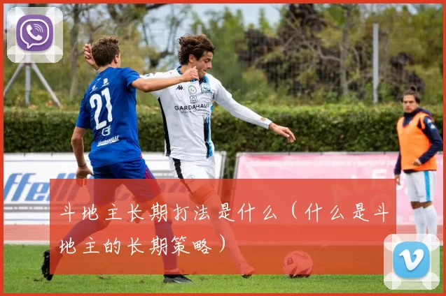 斗地主长期打法是什么（什么是斗地主的长期策略）