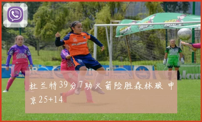 杜兰特39分7助火箭险胜森林狼 申京25+14