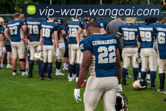 旺财28平台生态图